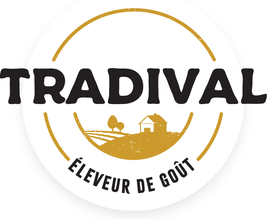 tradival_quadri.png